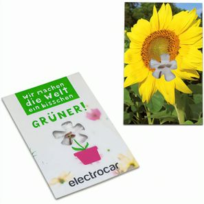 Samen-Karte-Mini Blume - Sonnenblume