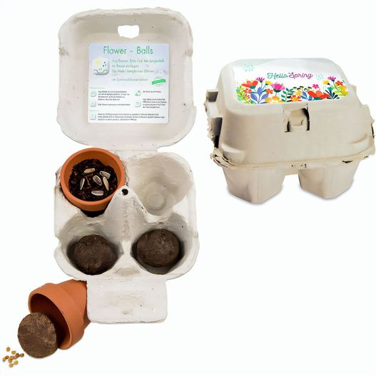 Produktabbildung Das Grüne vom Ei - Green-Mix Box - Eierbaumsamen Das Grüne vom Ei - Green-Mix Box - Eierbaumsamen (Bild 1)