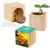 Pflanz-Holz Maxi mit Samen - Ringelblume (Bild 1)