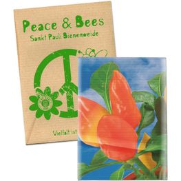 Samentütchen Klein - Natronkraftpapier - Gewürzpaprika