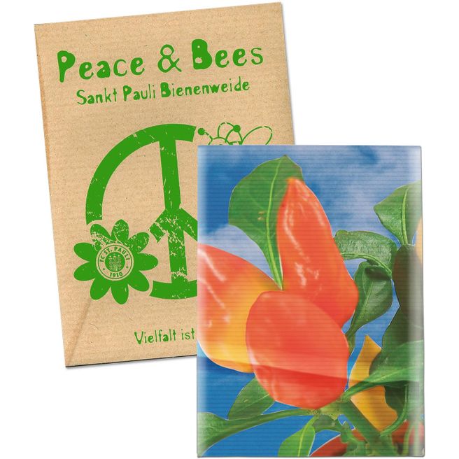 Samentütchen Klein - Natronkraftpapier - Gewürzpaprika