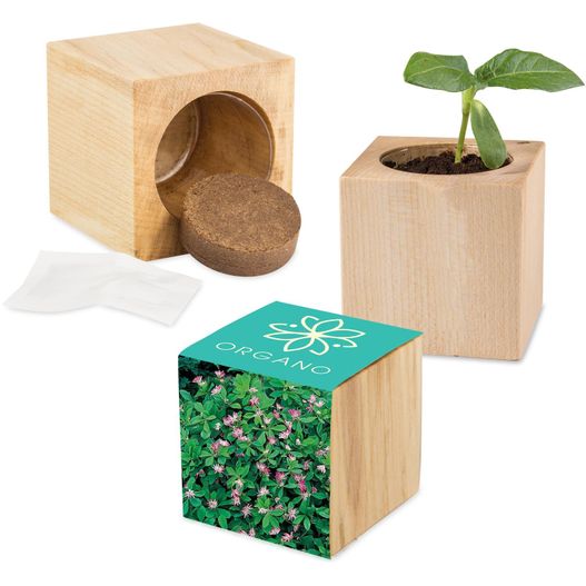 Pflanz-Holz Maxi mit Samen - Persischer Klee, 2 Seiten gelasert (Bild 1)