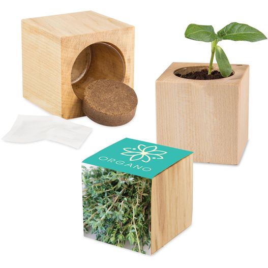 eine pflanze in einer holzkiste neben einer box mit einer pflanze im inneren Pflanz-Holz Maxi mit Samen - Thymian, 2 Seiten gelasert (Bild 1)