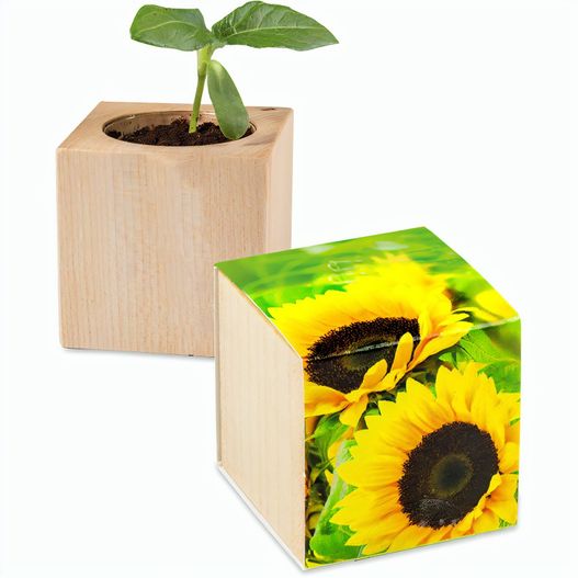 Pflanz-Holz - Standardmotiv - Sonnenblume - 2 Seiten gelasert (Bild 1)