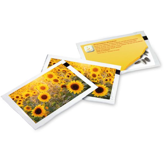 Samen-Briefchen - Standardmotiv - Sonnenblume (Bild 1)