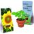 Logo-Töpfchen Überreichverpackung mit Samen - Sonnenblume (Bild 1)