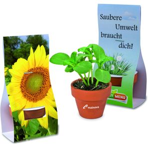 Logo-Töpfchen Überreichverpackung mit Samen - Sonnenblume