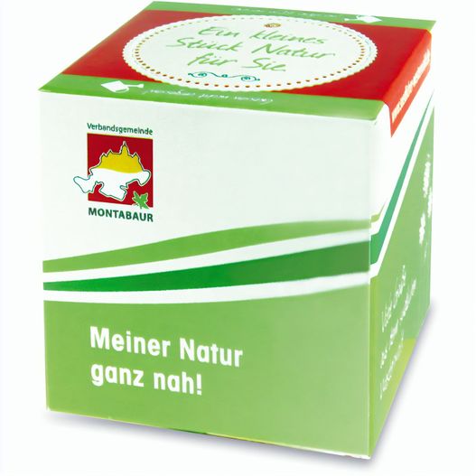 Pflanz-Holz Maxi Xmas mit Fichtensamen - Fichte, 1 Seite gelasert (Bild 1)