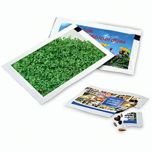 Samen-Briefchen - Gartenkresse