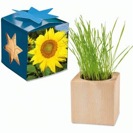 Pflanz-Holz Maxi Star-Box mit Samen - Sonnenblume, 1 Seite gelasert