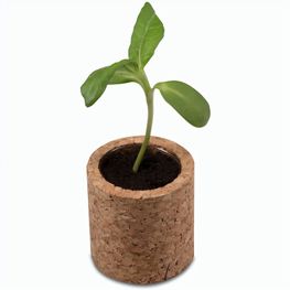 Pflanz-Kork rund mit Samen - Gartenkresse