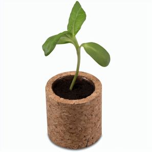 Pflanz-Kork rund mit Samen - Gartenkresse