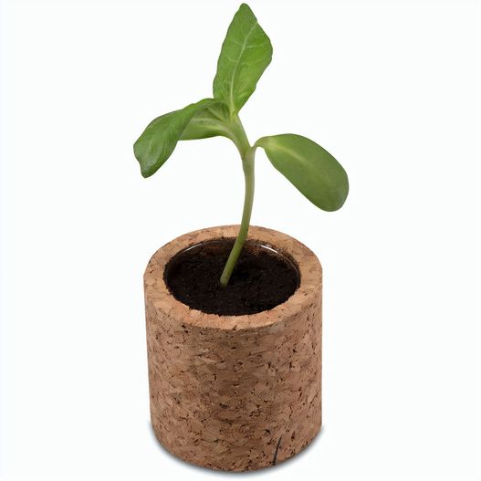 Pflanz-Kork rund mit Samen - Gartenkresse (Bild 1)