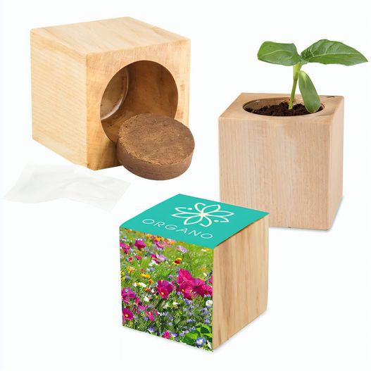 Pflanz-Holz Maxi mit Samen - Sommerblumenmischung, 1 Seite gelasert (Bild 1)