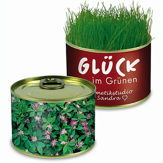 Natur-Konserve mit Samen - Persischer Klee (Bild 1)