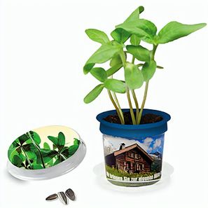 Florero-Töpfchen mit Samen - blau - Glücksklee-Zwiebel (* Je nach Verfügbarkeit der Glücksklee-Zwiebeln)