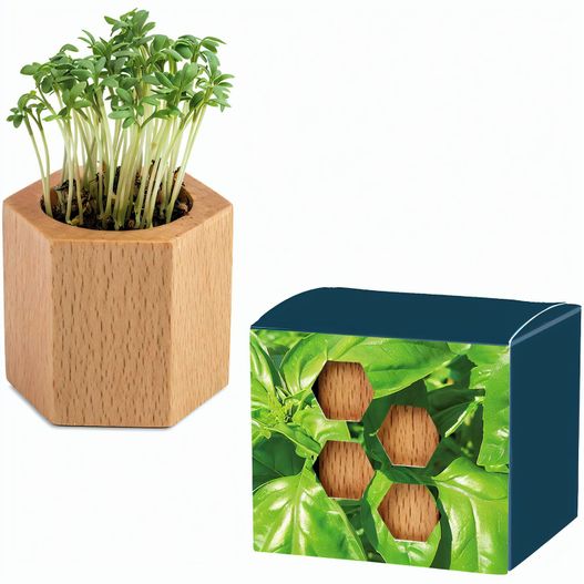 Pflanz-Holz Hexagon mit Samen - Basilikum, 1 Seite gelasert (Bild 1)