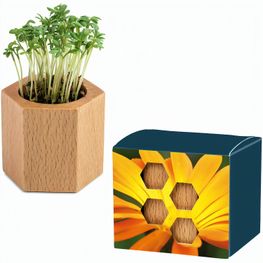 Pflanz-Holz Hexagon mit Samen - Ringelblume, 1 Seite gelasert