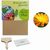 Pflanz-Set - 2er-Set - Ringelblume / Vergissmeinnicht (Bild 1)