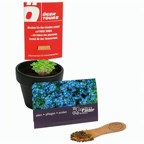 Pflanz-Stick mit Samen - Vergissmeinnicht, 1 Seite gelasert