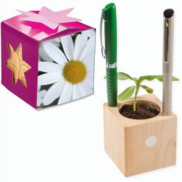 Pflanz-Holz Büro Star-Box mit Samen - Margerite, 1 Seite gelasert