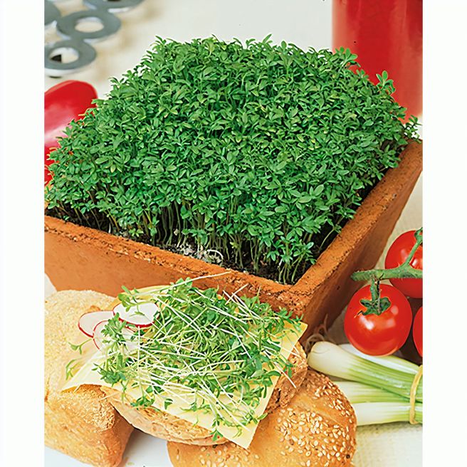 Produktabbildung Samentütchen Mini - Natronkraftpapier - Gartenkresse Samentütchen Mini - Natronkraftpapier - Gartenkresse