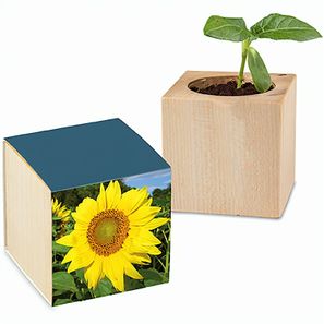 Pflanz-Holz mit Samen - Sonnenblume, 1 Seite gelasert