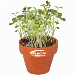 Logo-Töpfchen Banderole mit Samen - Fichte