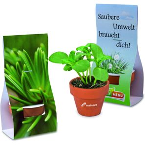 Logo-Töpfchen Überreichverpackung mit Samen - Fichte