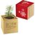 Pflanz-Holz - Standardmotiv - Frohe Weihnachten - 2 Seiten gelasert (Bild 1)