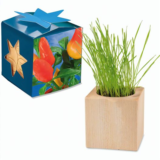 Pflanz-Holz Maxi Star-Box mit Samen - Gewürzpaprika (Bild 1)