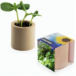 Pflanz-Holz rund mit Samen - Kräutermischung