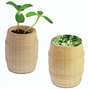 Pflanz-Fässchen mit Samen - Kräutermischung, Lasergravur