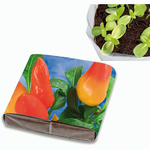 PopUp Anzuchterde mit Samen - Gewürzpaprika (Bild 1)