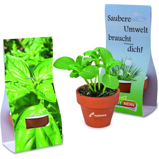 eine pflanze in einem topf neben einer karte Logo-Töpfchen Überreichverpackung mit Samen - Basilikum (Bild 1)