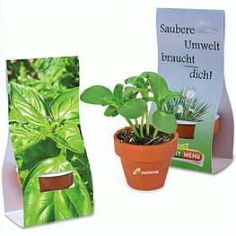 Logo-Töpfchen Überreichverpackung mit Samen - Basilikum