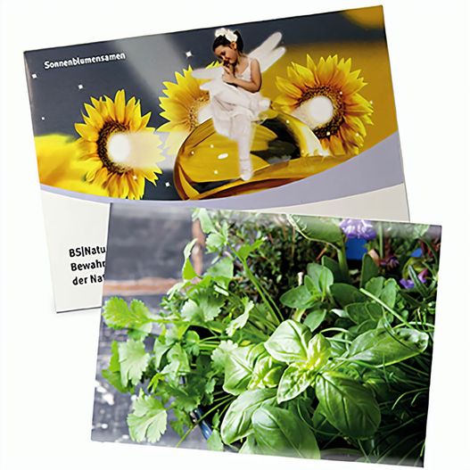 Produktabbildung Samentütchen Groß - Standardpapier - Kräutermischung Samentütchen Groß - Standardpapier - Kräutermischung (Bild 1)
