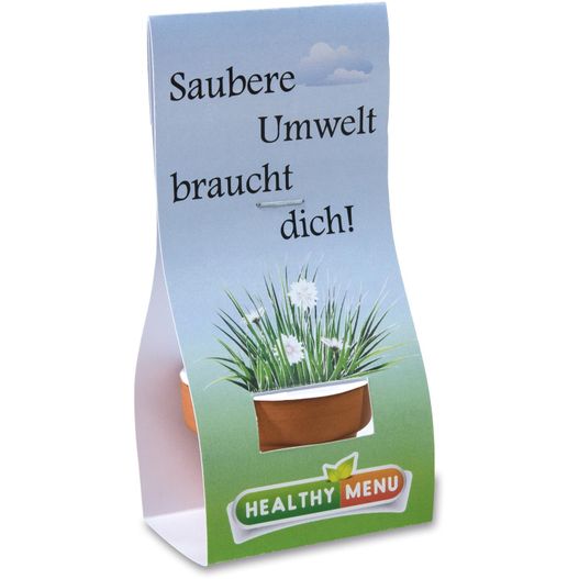 ein karton mit einer pflanze darin Logo-Töpfchen Überreichverpackung mit Samen - Persischer Klee (Bild 1)