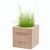 Pflanz-Holz Grande mit Samen - Ringelblume, 1 Seite gelasert (Bild 2)
