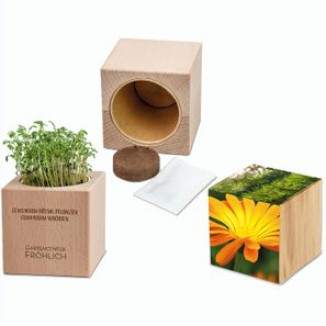 Pflanz-Holz Grande mit Samen - Ringelblume, 1 Seite gelasert