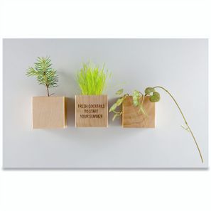 Pflanz-Holz Magnet mit Samen - Basilikum