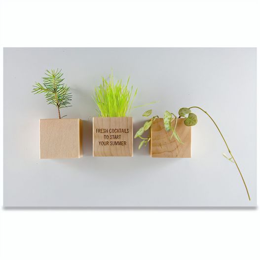 Produktabbildung Pflanz-Holz Magnet mit Samen - Basilikum Pflanz-Holz Magnet mit Samen - Basilikum (Bild 1)