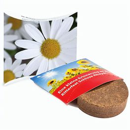 Plant-Tab mit Samen - Margerite