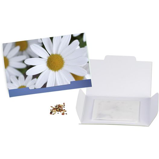 Flower-Card mit Samen - Margerite (Bild 1)
