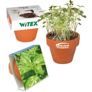 Logo-Töpfchen Banderole mit Samen - Basilikum