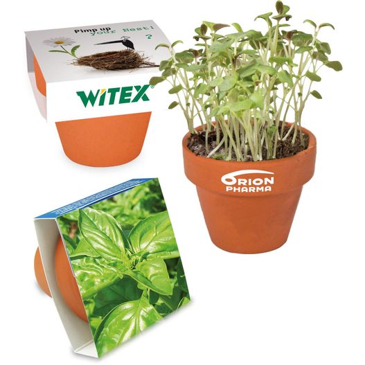 Logo-Töpfchen Banderole mit Samen - Basilikum (Bild 1)