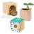 Pflanz-Holz Maxi mit Samen - Margerite, 1 Seite gelasert (Bild 1)