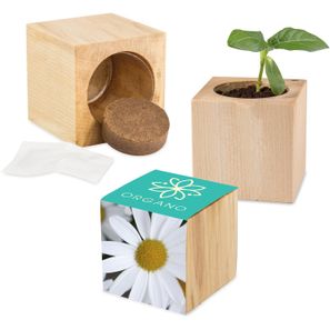 Pflanz-Holz Maxi mit Samen - Margerite, 1 Seite gelasert