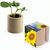 Pflanz-Holz rund mit Samen - Sonnenblume, Lasergravur (Bild 1)