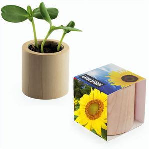 Pflanz-Holz rund mit Samen - Sonnenblume, Lasergravur